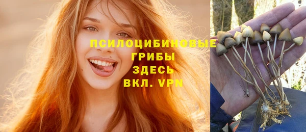 прущий лед Корсаков