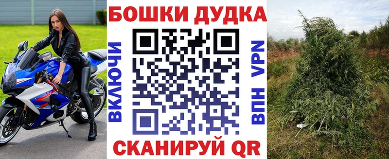 Канабис сатива Навашино